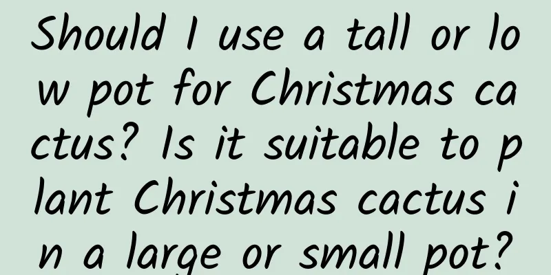 Should I use a tall or low pot for Christmas cactus? Is it suitable to plant Christmas cactus in a large or small pot?