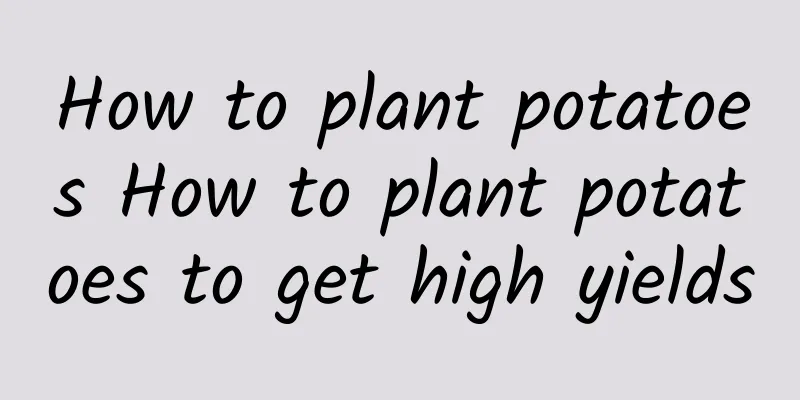 How to plant potatoes How to plant potatoes to get high yields