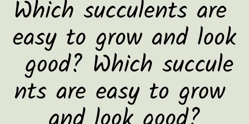 Which succulents are easy to grow and look good? Which succulents are easy to grow and look good?