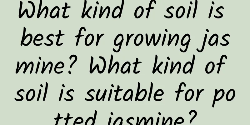 What kind of soil is best for growing jasmine? What kind of soil is suitable for potted jasmine?