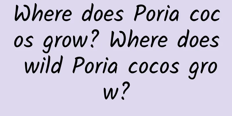 Where does Poria cocos grow? Where does wild Poria cocos grow?