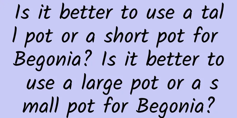 Is it better to use a tall pot or a short pot for Begonia? Is it better to use a large pot or a small pot for Begonia?