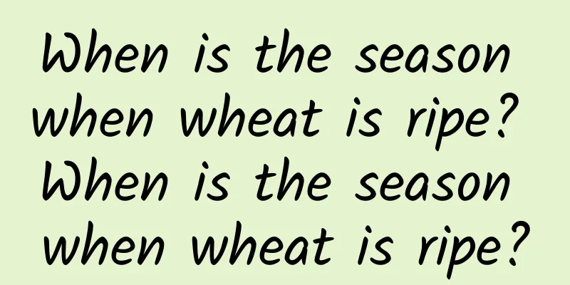 When is the season when wheat is ripe? When is the season when wheat is ripe?