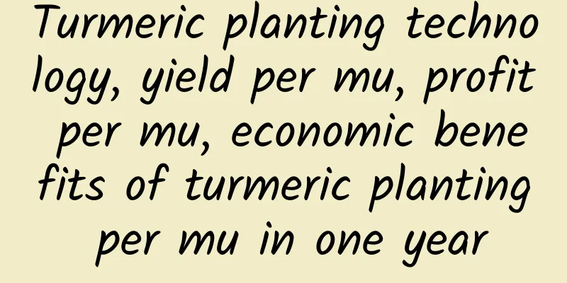 Turmeric planting technology, yield per mu, profit per mu, economic benefits of turmeric planting per mu in one year