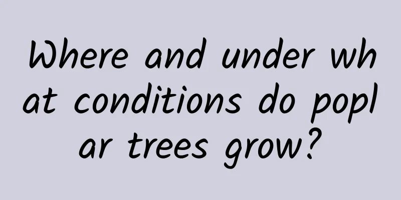 Where and under what conditions do poplar trees grow?