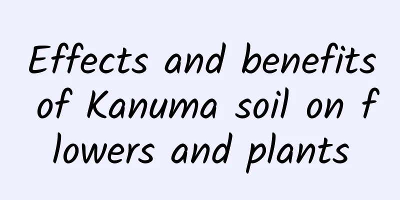 Effects and benefits of Kanuma soil on flowers and plants