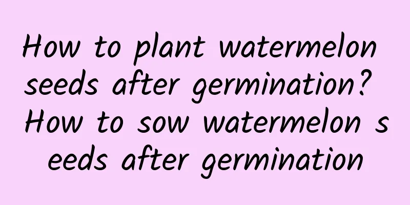 How to plant watermelon seeds after germination? How to sow watermelon seeds after germination