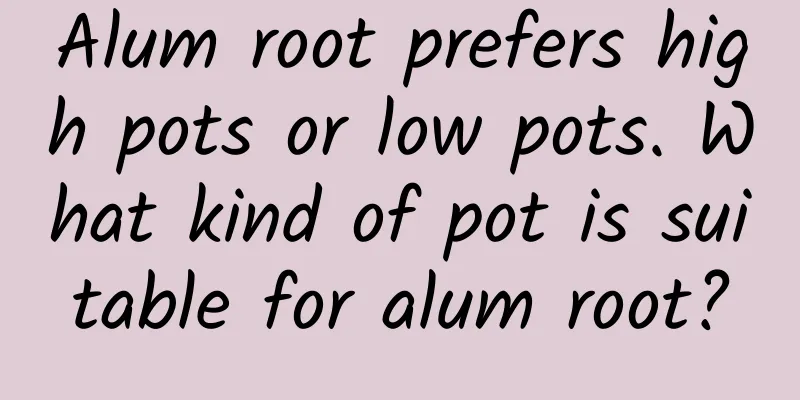 Alum root prefers high pots or low pots. What kind of pot is suitable for alum root?