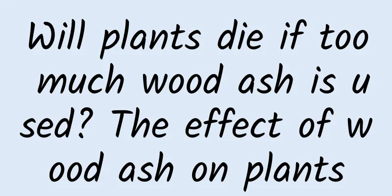 Will plants die if too much wood ash is used? The effect of wood ash on plants