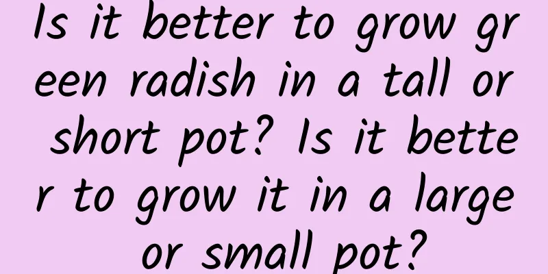 Is it better to grow green radish in a tall or short pot? Is it better to grow it in a large or small pot?