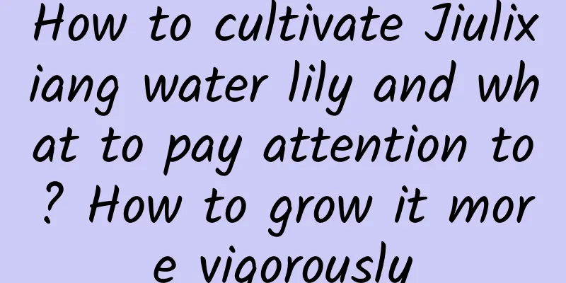 How to cultivate Jiulixiang water lily and what to pay attention to? How to grow it more vigorously