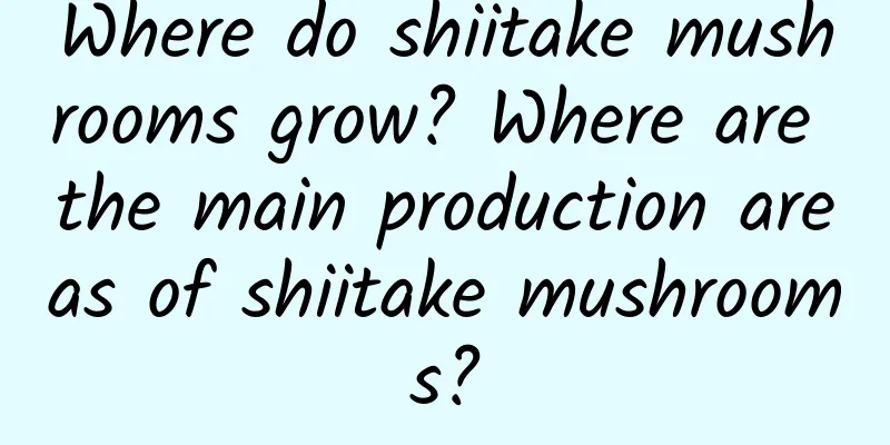 Where do shiitake mushrooms grow? Where are the main production areas of shiitake mushrooms?