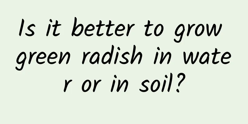 Is it better to grow green radish in water or in soil?
