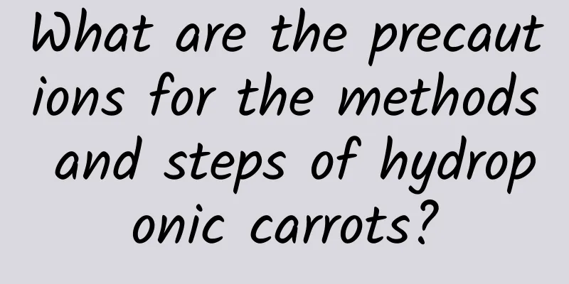 What are the precautions for the methods and steps of hydroponic carrots?