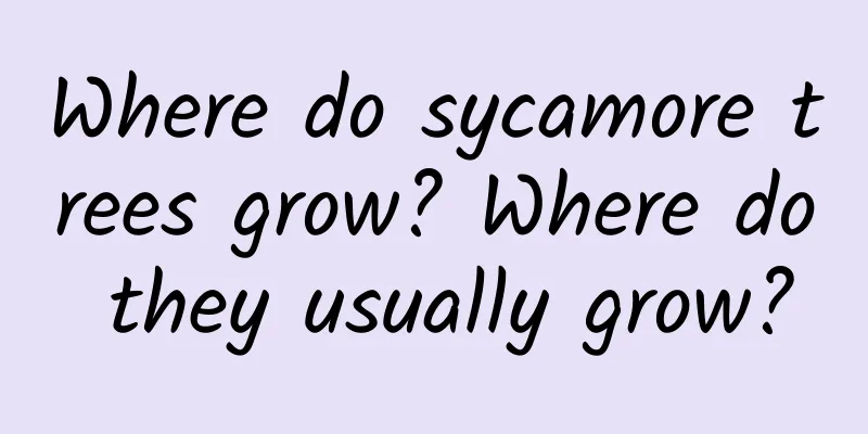 Where do sycamore trees grow? Where do they usually grow?