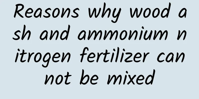 Reasons why wood ash and ammonium nitrogen fertilizer cannot be mixed