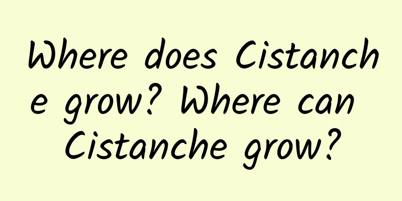 Where does Cistanche grow? Where can Cistanche grow?