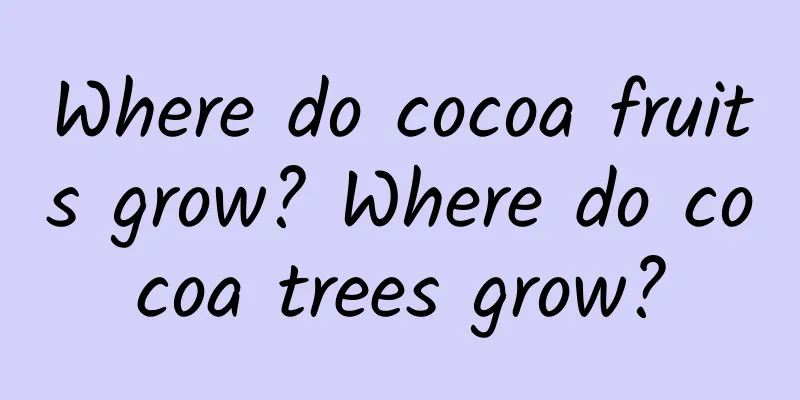 Where do cocoa fruits grow? Where do cocoa trees grow?