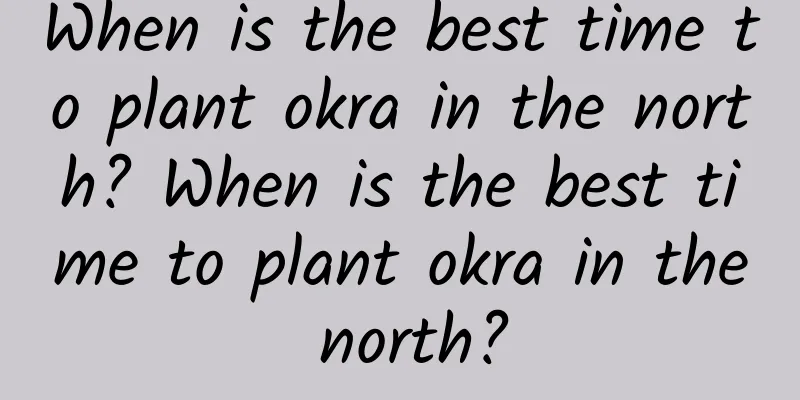 When is the best time to plant okra in the north? When is the best time to plant okra in the north?