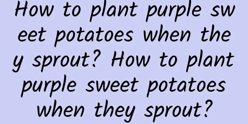 How to plant purple sweet potatoes when they sprout? How to plant purple sweet potatoes when they sprout?