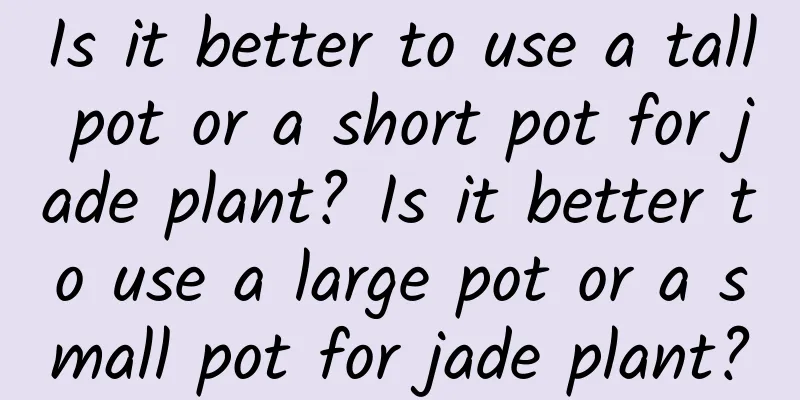 Is it better to use a tall pot or a short pot for jade plant? Is it better to use a large pot or a small pot for jade plant?