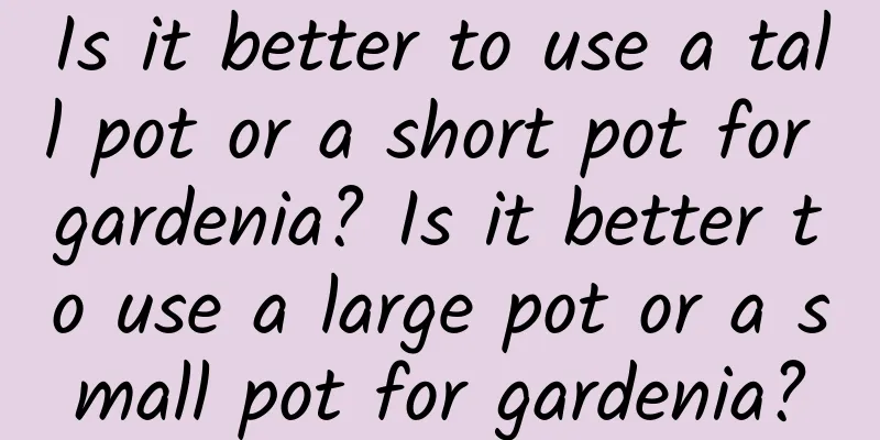 Is it better to use a tall pot or a short pot for gardenia? Is it better to use a large pot or a small pot for gardenia?
