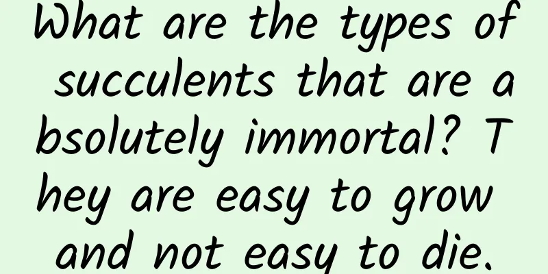 What are the types of succulents that are absolutely immortal? They are easy to grow and not easy to die.