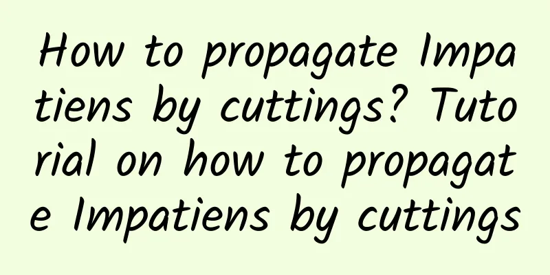 How to propagate Impatiens by cuttings? Tutorial on how to propagate Impatiens by cuttings