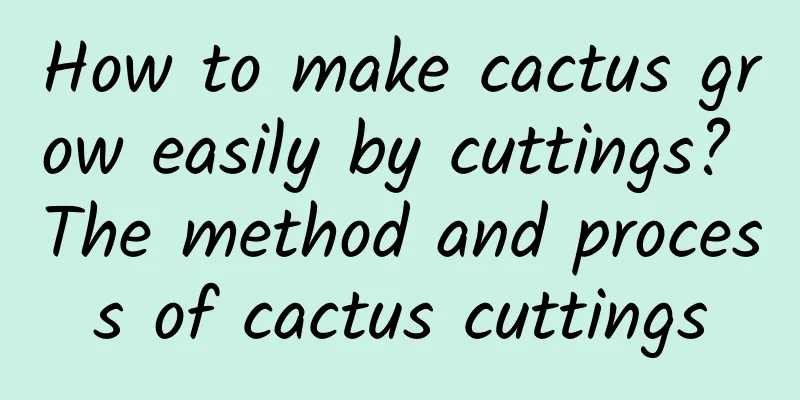 How to make cactus grow easily by cuttings? The method and process of cactus cuttings