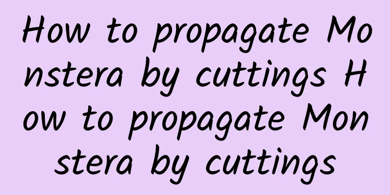 How to propagate Monstera by cuttings How to propagate Monstera by cuttings