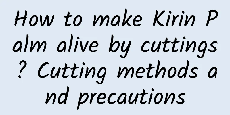 How to make Kirin Palm alive by cuttings? Cutting methods and precautions