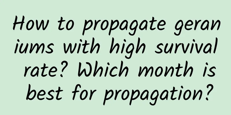 How to propagate geraniums with high survival rate? Which month is best for propagation?