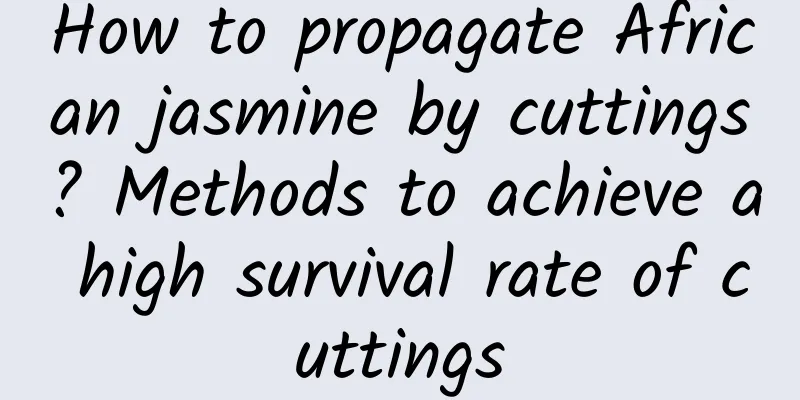 How to propagate African jasmine by cuttings? Methods to achieve a high survival rate of cuttings