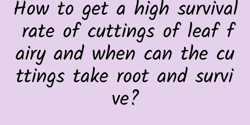 How to get a high survival rate of cuttings of leaf fairy and when can the cuttings take root and survive?