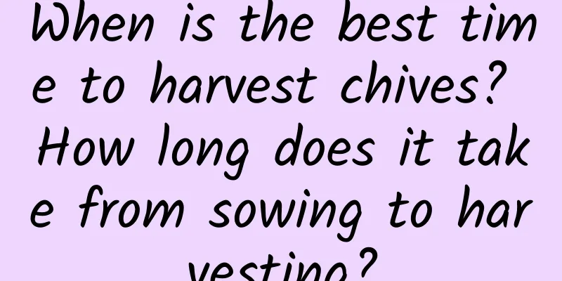 When is the best time to harvest chives? How long does it take from sowing to harvesting?