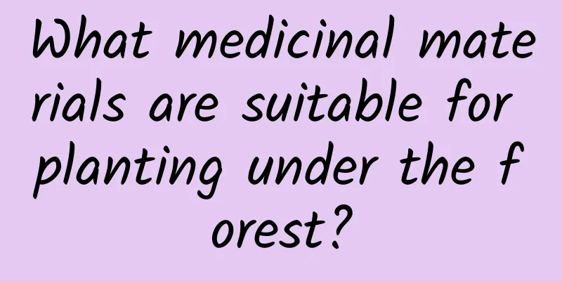 What medicinal materials are suitable for planting under the forest?