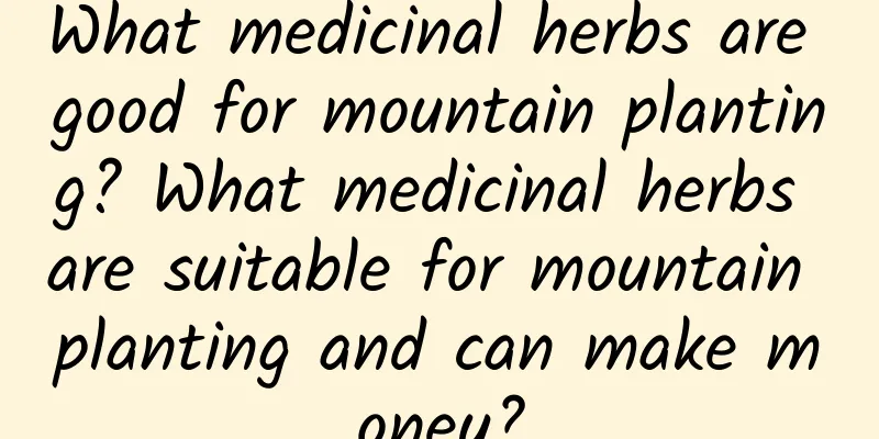 What medicinal herbs are good for mountain planting? What medicinal herbs are suitable for mountain planting and can make money?