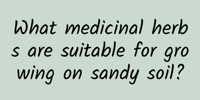 What medicinal herbs are suitable for growing on sandy soil?
