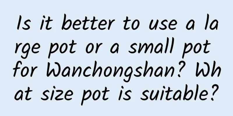 Is it better to use a large pot or a small pot for Wanchongshan? What size pot is suitable?