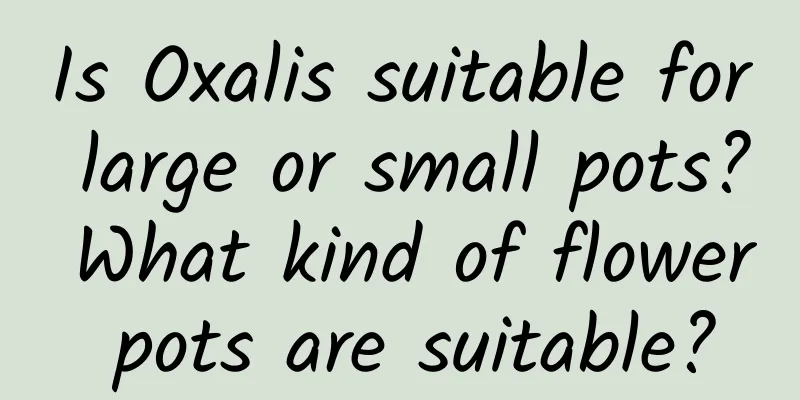 Is Oxalis suitable for large or small pots? What kind of flower pots are suitable?