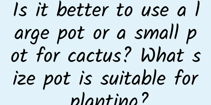 Is it better to use a large pot or a small pot for cactus? What size pot is suitable for planting?