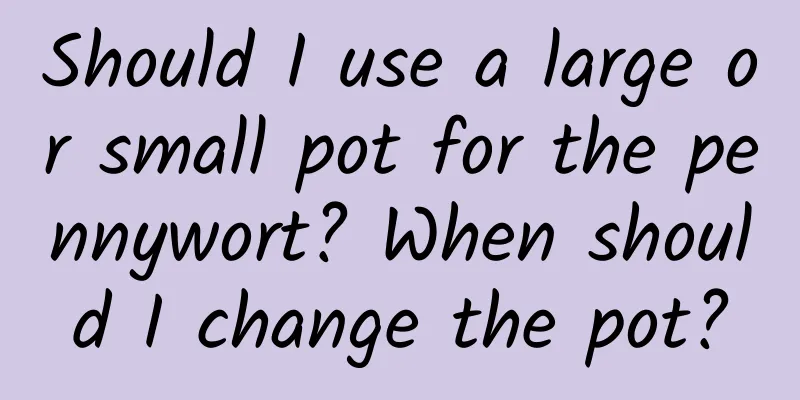 Should I use a large or small pot for the pennywort? When should I change the pot?
