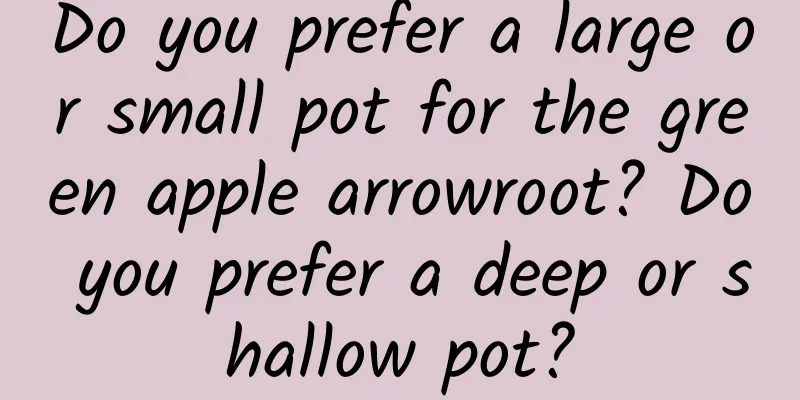 Do you prefer a large or small pot for the green apple arrowroot? Do you prefer a deep or shallow pot?