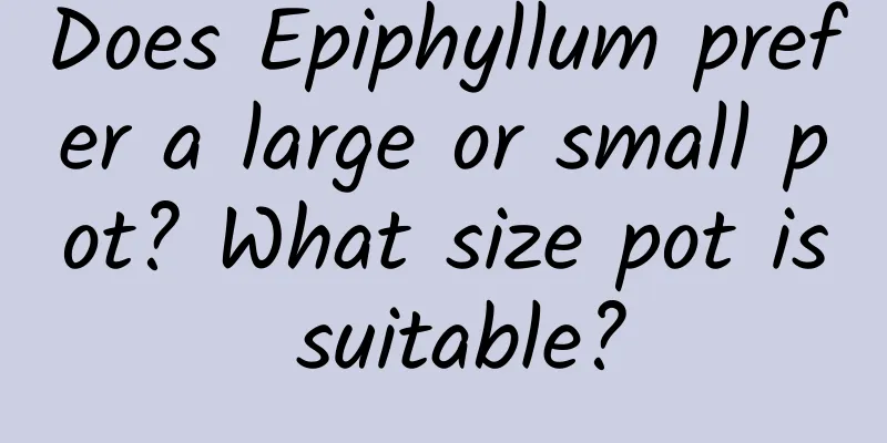 Does Epiphyllum prefer a large or small pot? What size pot is suitable?