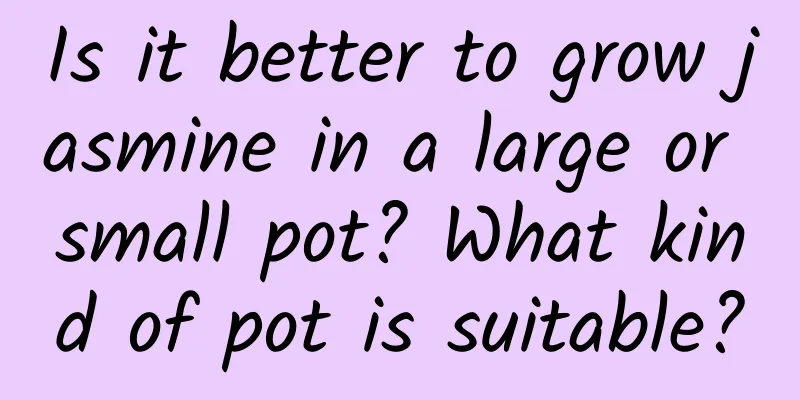 Is it better to grow jasmine in a large or small pot? What kind of pot is suitable?