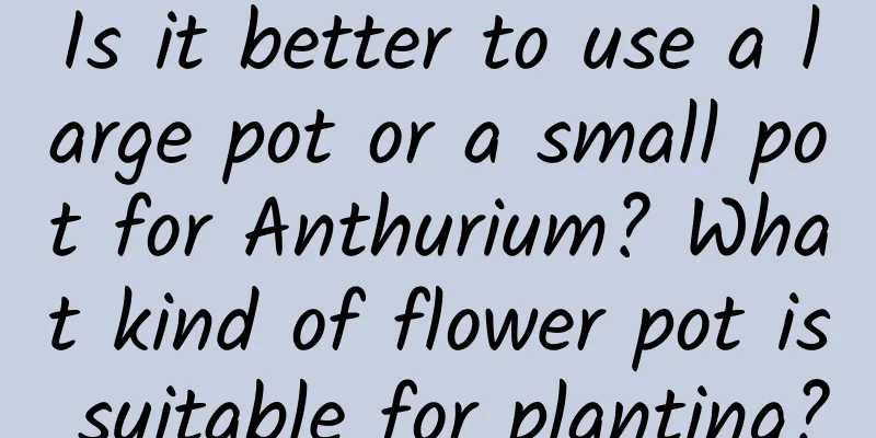 Is it better to use a large pot or a small pot for Anthurium? What kind of flower pot is suitable for planting?