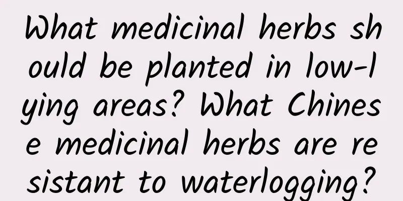 What medicinal herbs should be planted in low-lying areas? What Chinese medicinal herbs are resistant to waterlogging?