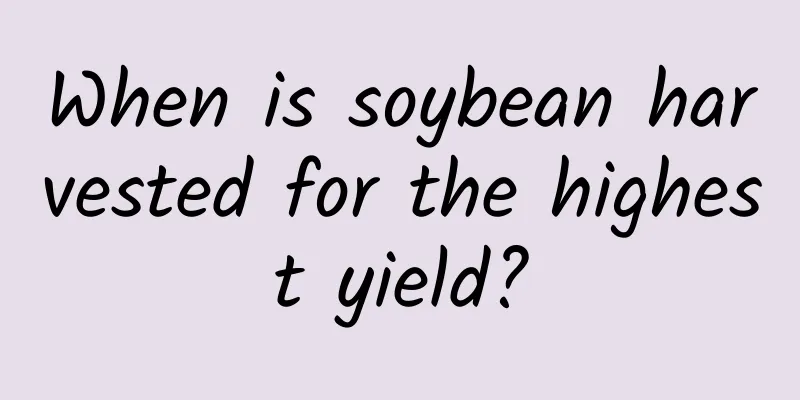 When is soybean harvested for the highest yield?