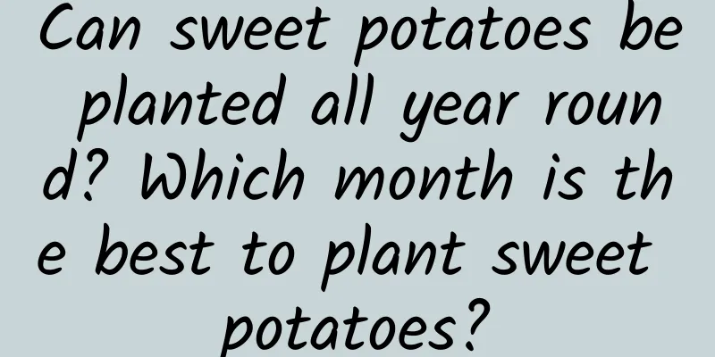 Can sweet potatoes be planted all year round? Which month is the best to plant sweet potatoes?