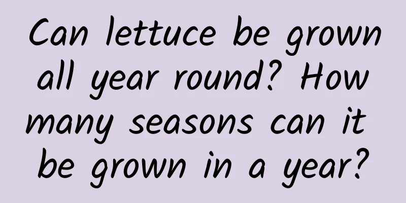 Can lettuce be grown all year round? How many seasons can it be grown in a year?